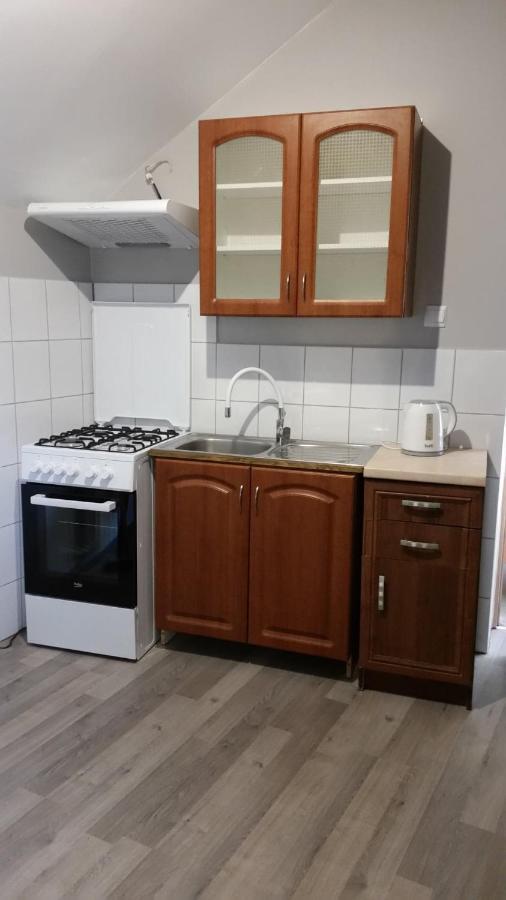 Pokoje Goscinne "U Karola" Pracownicze Ścinawa エクステリア 写真