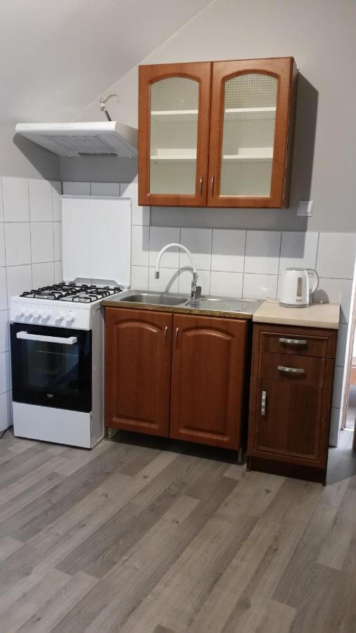 Pokoje Goscinne "U Karola" Pracownicze Ścinawa エクステリア 写真